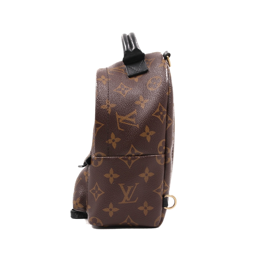 Louis Vuitton Reverse Monogram Palm Springs Mini Backpack