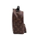 Louis Vuitton Reverse Monogram Palm Springs Mini Backpack
