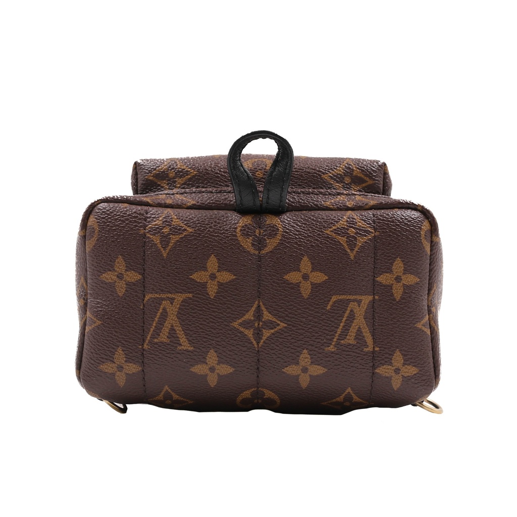 Louis Vuitton Reverse Monogram Palm Springs Mini Backpack
