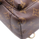 Louis Vuitton Reverse Monogram Palm Springs Mini Backpack