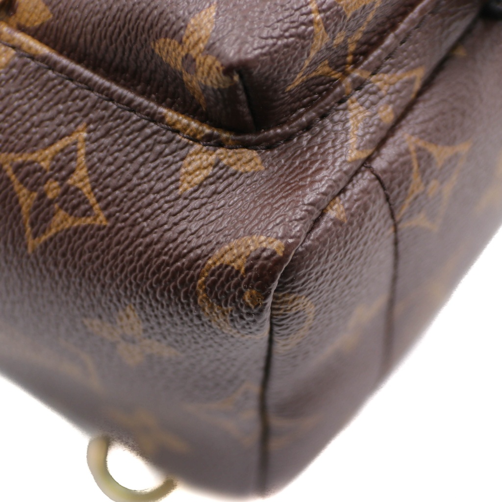 Louis Vuitton Reverse Monogram Palm Springs Mini Backpack