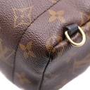 Louis Vuitton Reverse Monogram Palm Springs Mini Backpack