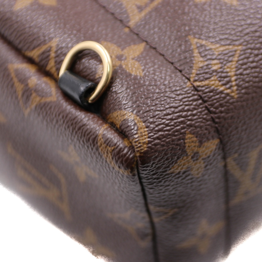 Louis Vuitton Reverse Monogram Palm Springs Mini Backpack