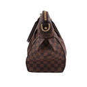Louis Vuttion Damier Ebene Trevi PM Bag