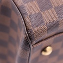 Louis Vuttion Damier Ebene Trevi PM Bag