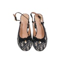 Christian Dior Idylle ballet heels in blue Iconic Toile de Jouy print Size 37