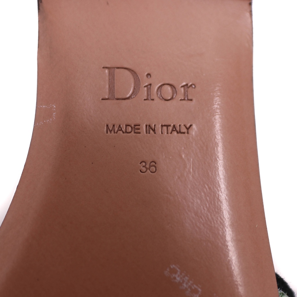 Christian Dior Dway Sandal Embroidered Multicolor Flower Size 36