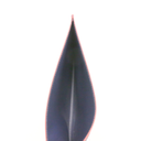 Louis Vuitton Monogram Empreinte Leather Pochette Felicie 