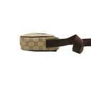 Gucci GG Canvas Mini Bag 876391