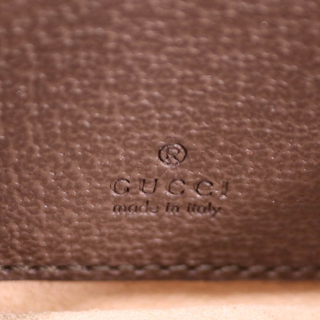 Gucci Ophidia GG Mini Bag