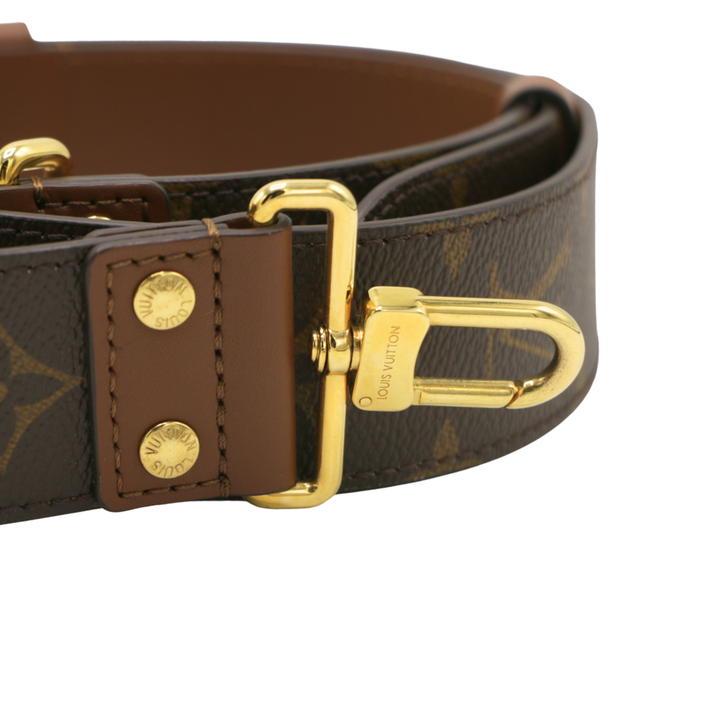 Louis Vuitton Papillon Trunk Bag in Monogram Canvas