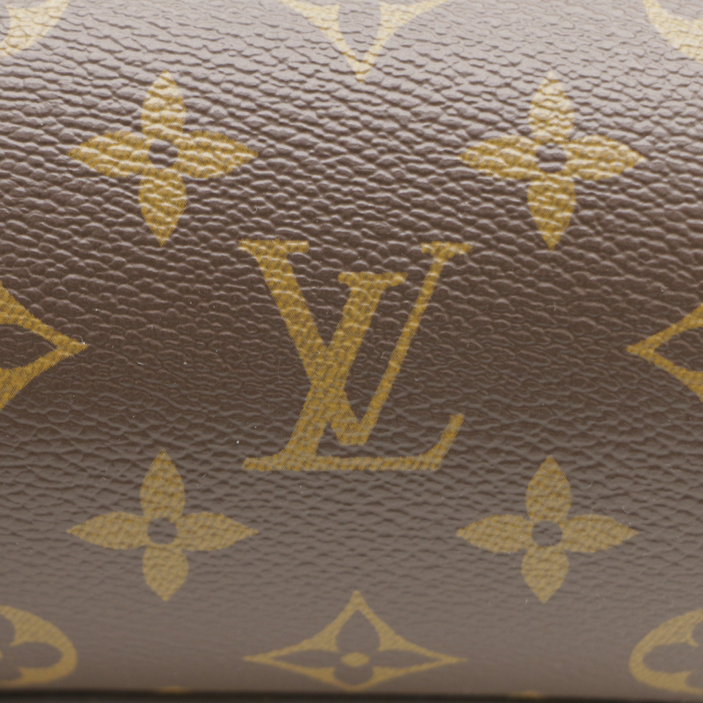 Louis Vuitton Papillon Trunk Bag in Monogram Canvas