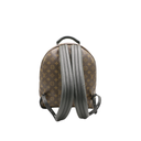 Louis Vuitton Monogram Palm Springs MM