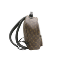 Louis Vuitton Monogram Palm Springs MM