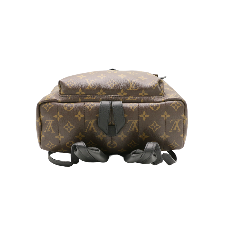 Louis Vuitton Monogram Palm Springs MM