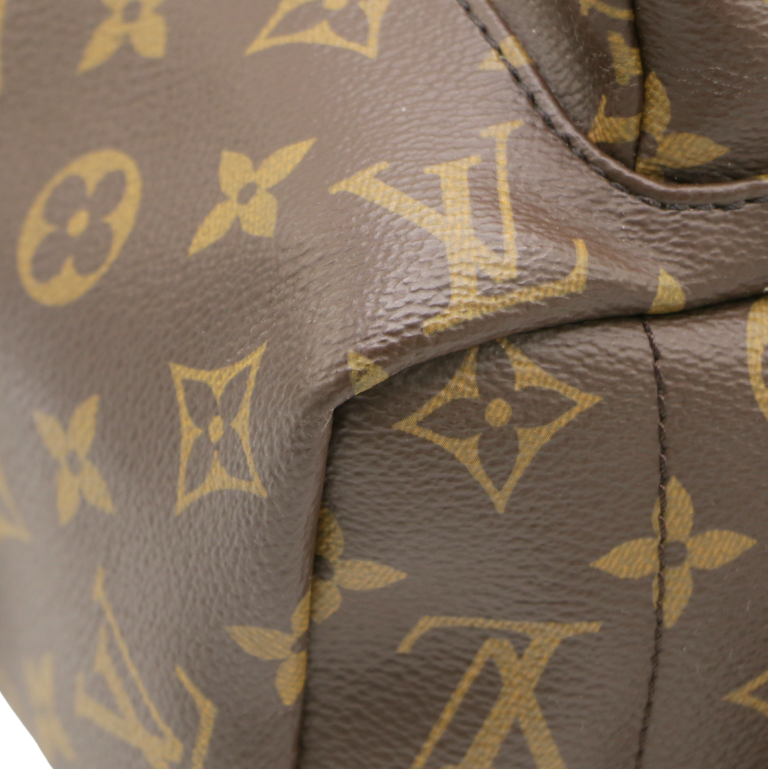 Louis Vuitton Monogram Palm Springs MM