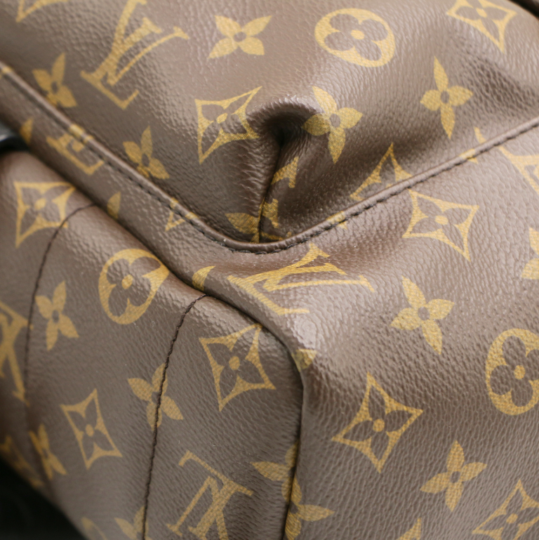 Louis Vuitton Monogram Palm Springs MM