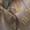 Louis Vuitton Monogram Palm Springs MM