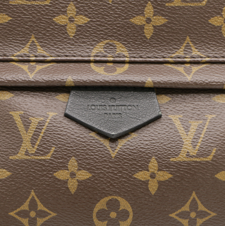 Louis Vuitton Monogram Palm Springs MM