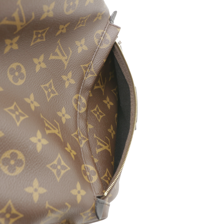 Louis Vuitton Monogram Palm Springs MM