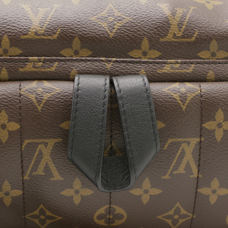 Louis Vuitton Monogram Palm Springs MM