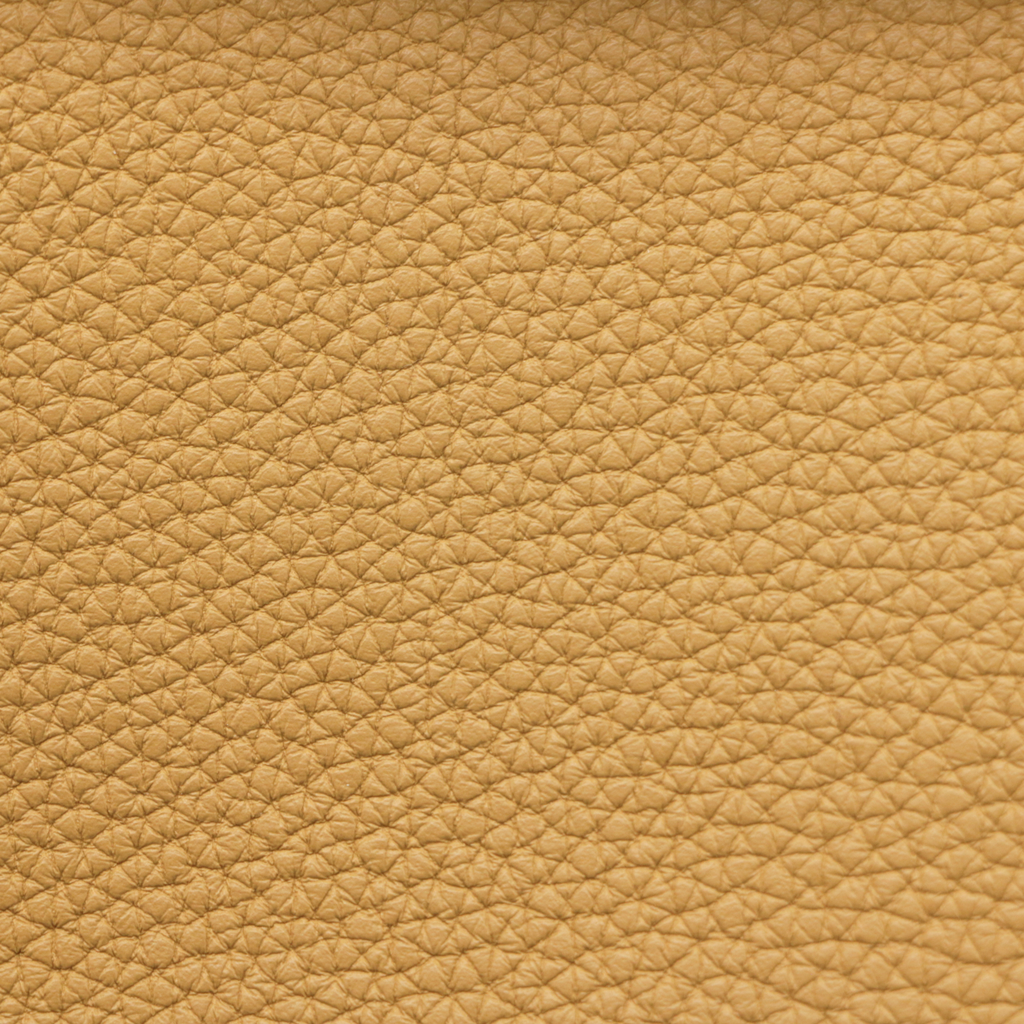 Hermes Togo Kelly Depeches 25 Pouch Biscuit
