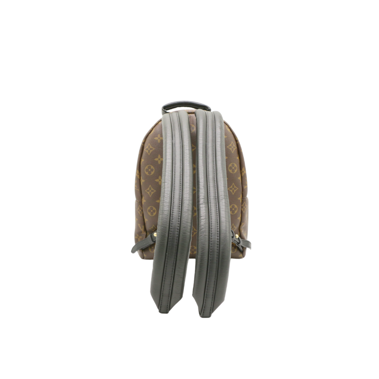 Louis Vuitton Monogram Palm Springs BB Backpack