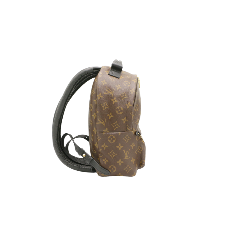 Louis Vuitton Monogram Palm Springs BB Backpack