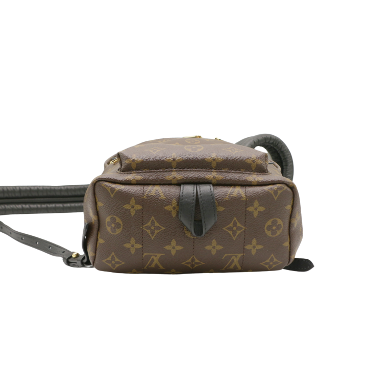 Louis Vuitton Monogram Palm Springs BB Backpack