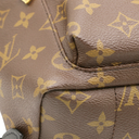 Louis Vuitton Monogram Palm Springs BB Backpack