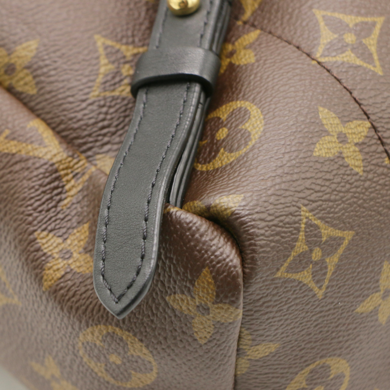 Louis Vuitton Monogram Palm Springs BB Backpack