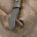 Louis Vuitton Monogram Palm Springs BB Backpack