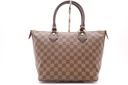 Louis Vuitton Damier Ebene Saleya PM Tote Bag