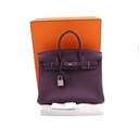 Hermes Birkin 25 Togo Anemone Silver Hardware Handbag Year 2022