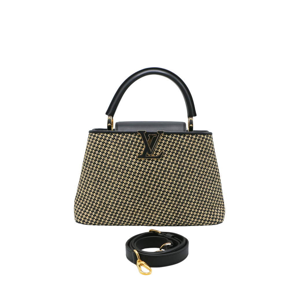 Louis Vuitton 2021 Raffa Capucines MM