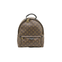 Louis Vuitton Monogram Palm Springs MM